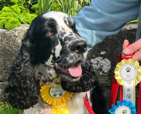 Scratch winning the village dog show 2024